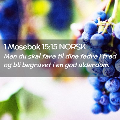 Picture 02 - 1 Mosebok 15:15 NORSK - Men du skal fare til dine fedre i fred og bli - Bible Verse Picture