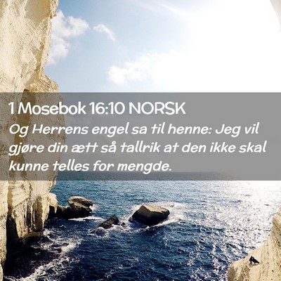 Picture 02 - 1 Mosebok 16:10 NORSK - Og Herrens engel sa til henne: Jeg vil gjøre din - Bible Verse Picture