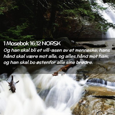 Picture 02 - 1 Mosebok 16:12 NORSK - Og han skal bli et vill-asen av et menneske; hans - Bible Verse Picture
