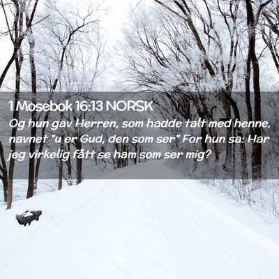 Picture 02 - 1 Mosebok 16:13 NORSK - Og hun gav Herren, som hadde talt med henne, - Bible Verse Picture