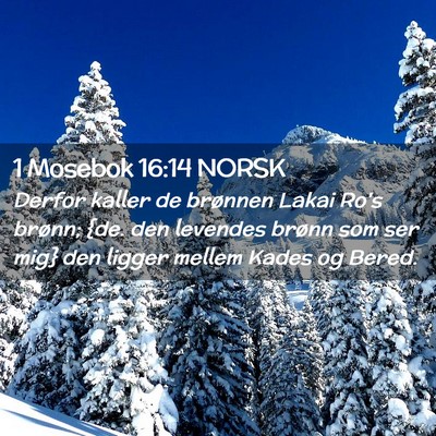 Picture 02 - 1 Mosebok 16:14 NORSK - Derfor kaller de brønnen Lakai Ro's brønn; {de. - Bible Verse Picture