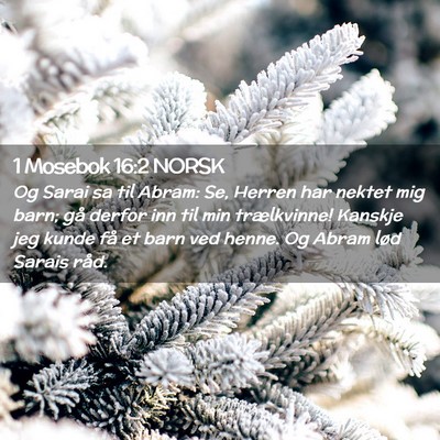 Picture 02 - 1 Mosebok 16:2 NORSK - Og Sarai sa til Abram: Se, Herren har nektet mig - Bible Verse Picture