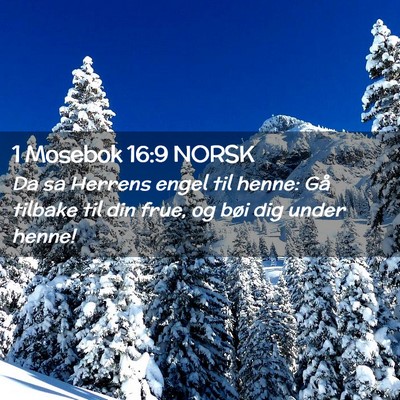 Picture 02 - 1 Mosebok 16:9 NORSK - Da sa Herrens engel til henne: Gå tilbake til - Bible Verse Picture