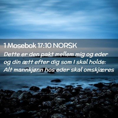 Picture 02 - 1 Mosebok 17:10 NORSK - Dette er den pakt mellem mig og eder og din ætt - Bible Verse Picture