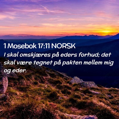 Picture 02 - 1 Mosebok 17:11 NORSK - I skal omskjæres på eders forhud; det skal - Bible Verse Picture