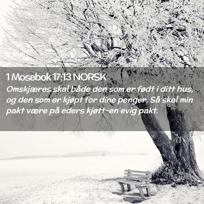Picture 02 - 1 Mosebok 17:13 NORSK - Omskjæres skal både den som er født i ditt - Bible Verse Picture