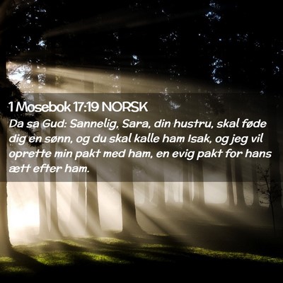 Picture 02 - 1 Mosebok 17:19 NORSK - Da sa Gud: Sannelig, Sara, din hustru, skal føde - Bible Verse Picture