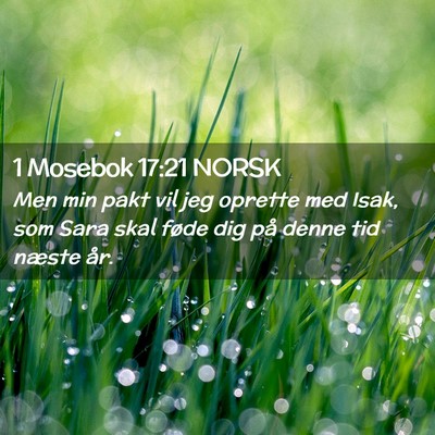 Picture 02 - 1 Mosebok 17:21 NORSK - Men min pakt vil jeg oprette med Isak, som Sara - Bible Verse Picture