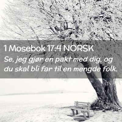 Picture 02 - 1 Mosebok 17:4 NORSK - Se, jeg gjør en pakt med dig, og du skal bli far - Bible Verse Picture
