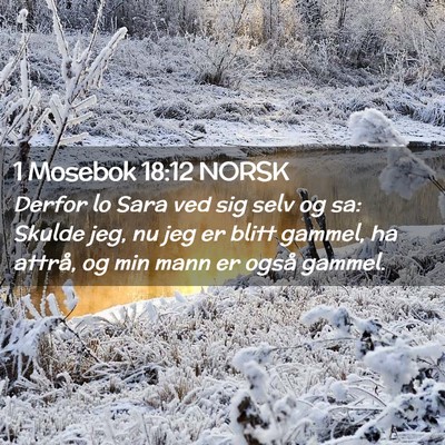 Picture 02 - 1 Mosebok 18:12 NORSK - Derfor lo Sara ved sig selv og sa: Skulde jeg, nu - Bible Verse Picture