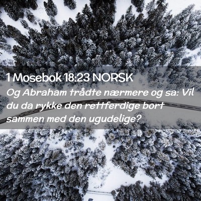Picture 02 - 1 Mosebok 18:23 NORSK - Og Abraham trådte nærmere og sa: Vil du da - Bible Verse Picture