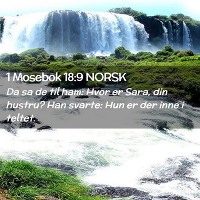 Picture 02 - 1 Mosebok 18:9 NORSK - Da sa de til ham: Hvor er Sara, din hustru? Han - Bible Verse Picture