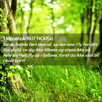 Picture 02 - 1 Mosebok 19:17 NORSK - Da de hadde ført dem ut, sa den ene: Fly for - Bible Verse Picture