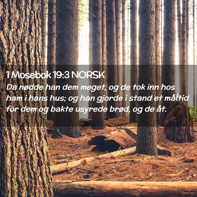Picture 02 - 1 Mosebok 19:3 NORSK - Da nødde han dem meget, og de tok inn hos ham i - Bible Verse Picture