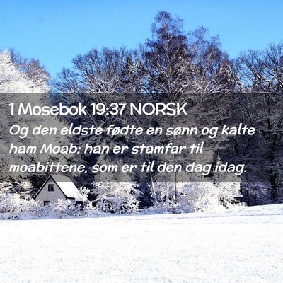 Picture 02 - 1 Mosebok 19:37 NORSK - Og den eldste fødte en sønn og kalte ham Moab; - Bible Verse Picture