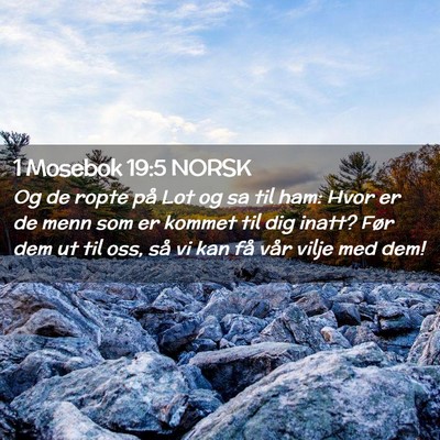 Picture 02 - 1 Mosebok 19:5 NORSK - Og de ropte på Lot og sa til ham: Hvor er de - Bible Verse Picture