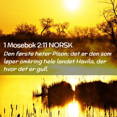 Picture 02 - 1 Mosebok 2:11 NORSK - Den første heter Pison; det er den som løper - Bible Verse Picture