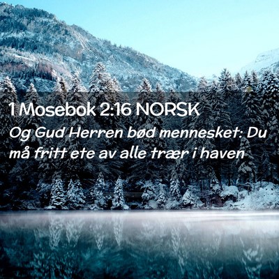 Picture 02 - 1 Mosebok 2:16 NORSK - Og Gud Herren bød mennesket: Du må fritt ete av - Bible Verse Picture
