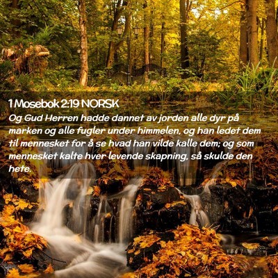 Picture 02 - 1 Mosebok 2:19 NORSK - Og Gud Herren hadde dannet av jorden alle dyr på - Bible Verse Picture