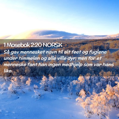 Picture 02 - 1 Mosebok 2:20 NORSK - Så gav mennesket navn til alt feet og fuglene - Bible Verse Picture