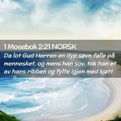 Picture 02 - 1 Mosebok 2:21 NORSK - Da lot Gud Herren en dyp søvn falle på - Bible Verse Picture