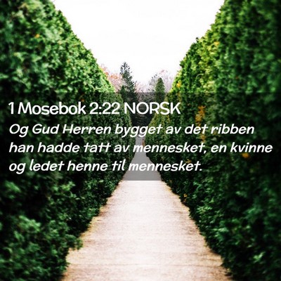 Picture 02 - 1 Mosebok 2:22 NORSK - Og Gud Herren bygget av det ribben han hadde tatt - Bible Verse Picture