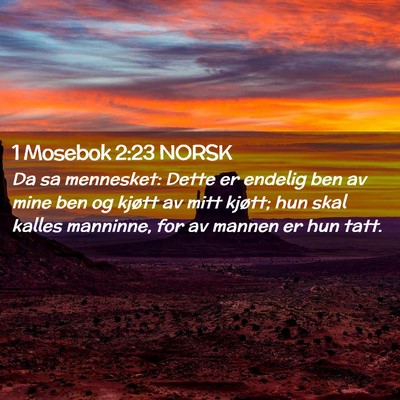 Picture 02 - 1 Mosebok 2:23 NORSK - Da sa mennesket: Dette er endelig ben av mine ben - Bible Verse Picture