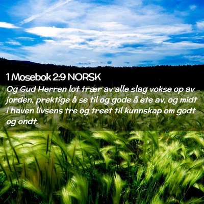 Picture 02 - 1 Mosebok 2:9 NORSK - Og Gud Herren lot trær av alle slag vokse op av - Bible Verse Picture