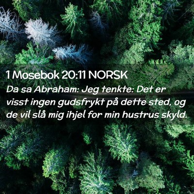 Picture 02 - 1 Mosebok 20:11 NORSK - Da sa Abraham: Jeg tenkte: Det er visst ingen - Bible Verse Picture