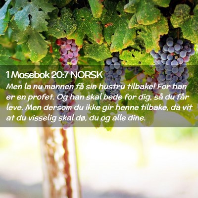 Picture 02 - 1 Mosebok 20:7 NORSK - Men la nu mannen få sin hustru tilbake! For han - Bible Verse Picture