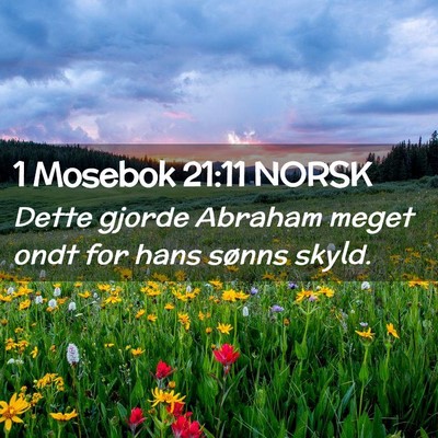 Picture 02 - 1 Mosebok 21:11 NORSK - Dette gjorde Abraham meget ondt for hans sønns - Bible Verse Picture