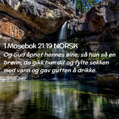 Picture 02 - 1 Mosebok 21:19 NORSK - Og Gud åpnet hennes øine, så hun så en - Bible Verse Picture