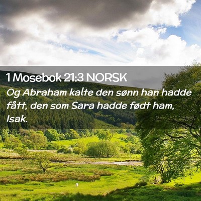 Picture 02 - 1 Mosebok 21:3 NORSK - Og Abraham kalte den sønn han hadde fått, den - Bible Verse Picture