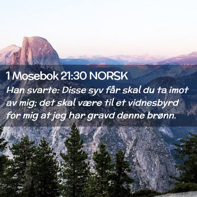 Picture 02 - 1 Mosebok 21:30 NORSK - Han svarte: Disse syv får skal du ta imot av - Bible Verse Picture
