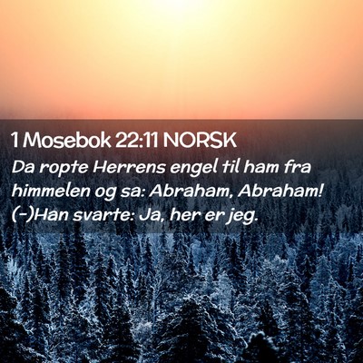Picture 02 - 1 Mosebok 22:11 NORSK - Da ropte Herrens engel til ham fra himmelen og - Bible Verse Picture