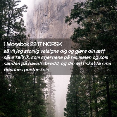 Picture 02 - 1 Mosebok 22:17 NORSK - så vil jeg storlig velsigne dig og gjøre din - Bible Verse Picture