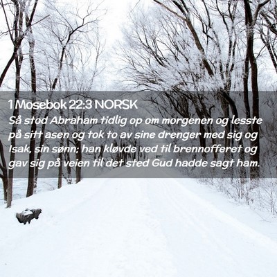Picture 02 - 1 Mosebok 22:3 NORSK - Så stod Abraham tidlig op om morgenen og lesste - Bible Verse Picture