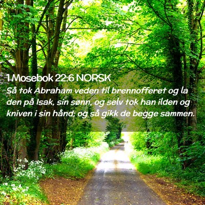 Picture 02 - 1 Mosebok 22:6 NORSK - Så tok Abraham veden til brennofferet og la den - Bible Verse Picture