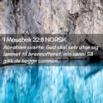 Picture 02 - 1 Mosebok 22:8 NORSK - Abraham svarte: Gud skal selv utse sig lammet til - Bible Verse Picture