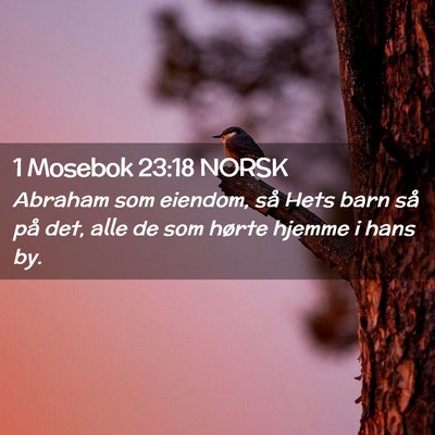 Picture 02 - 1 Mosebok 23:18 NORSK - Abraham som eiendom, så Hets barn så på det, - Bible Verse Picture