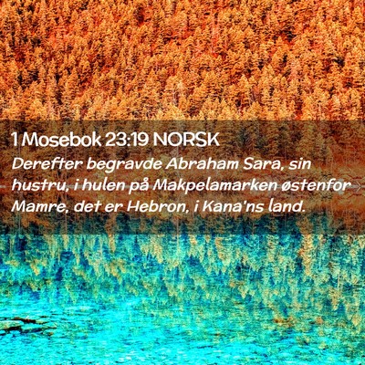 Picture 02 - 1 Mosebok 23:19 NORSK - Derefter begravde Abraham Sara, sin hustru, i - Bible Verse Picture
