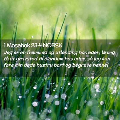 Picture 02 - 1 Mosebok 23:4 NORSK - Jeg er en fremmed og utlending hos eder; la mig - Bible Verse Picture