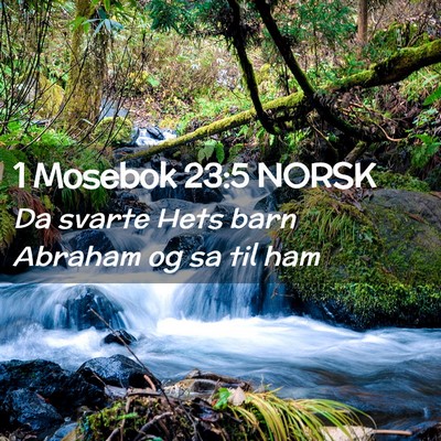 Picture 02 - 1 Mosebok 23:5 NORSK - Da svarte Hets barn Abraham og sa til - Bible Verse Picture