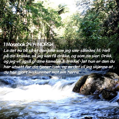 Picture 02 - 1 Mosebok 24:14 NORSK - La det nu bli så at den pike som jeg sier - Bible Verse Picture