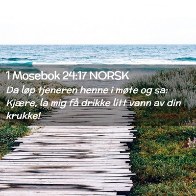 Picture 02 - 1 Mosebok 24:17 NORSK - Da løp tjeneren henne i møte og sa: Kjære, la - Bible Verse Picture