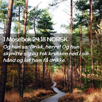 Picture 02 - 1 Mosebok 24:18 NORSK - Og hun sa: Drikk, herre! Og hun skyndte sig og - Bible Verse Picture