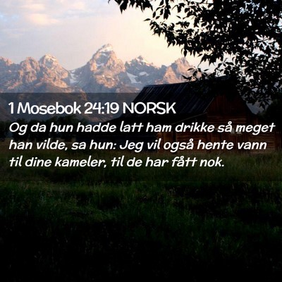Picture 02 - 1 Mosebok 24:19 NORSK - Og da hun hadde latt ham drikke så meget han - Bible Verse Picture