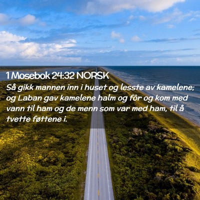 Picture 02 - 1 Mosebok 24:32 NORSK - Så gikk mannen inn i huset og lesste av - Bible Verse Picture