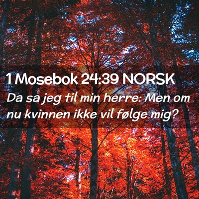 Picture 02 - 1 Mosebok 24:39 NORSK - Da sa jeg til min herre: Men om nu kvinnen ikke - Bible Verse Picture