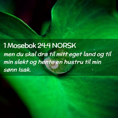 Picture 02 - 1 Mosebok 24:4 NORSK - men du skal dra til mitt eget land og til min - Bible Verse Picture